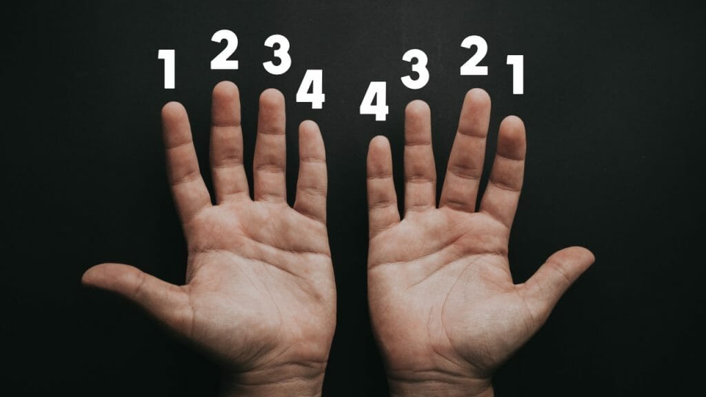 Right hand and Left hand with numbers assigned to each finger.