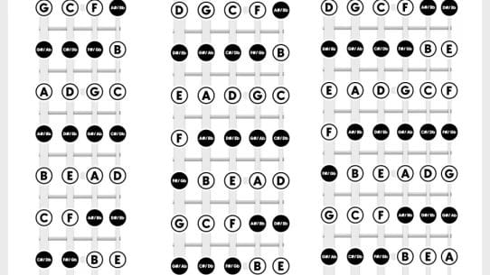 Bass guitar fretboard notes chart showing all notes across the neck